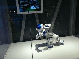 A80 Humanoidrobots2