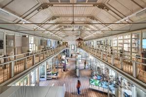 a344-artis-groote-museum-06-westzaal-artis-maarten-van-der-wal_original