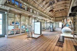 a344-artis-groote-museum-07-westzaal-artis-maarten-van-der-wal_original