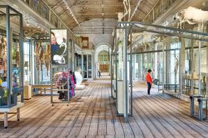 a344-artis-groote-museum-09-westzaal-artis-maarten-van-der-wal_original