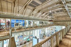 a344-artis-groote-museum-10-westzaal-artis-maarten-van-der-wal_original